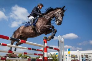 Le Touquet Show Jumping