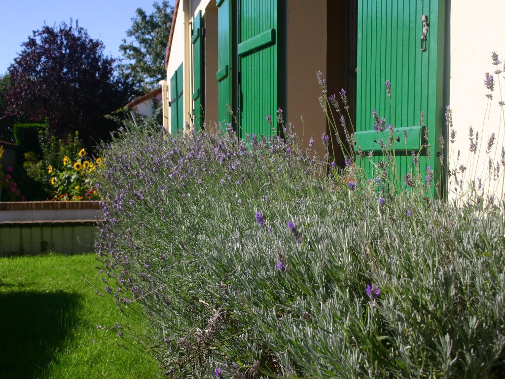 St-Josee-Farmhouse-Lavender